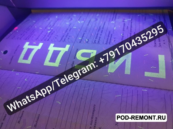 Купить Документы на авто.  Купить ПТС и СТС на автомобиль и прицеп