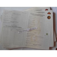 Дубликат всех документов на самоходную технику.