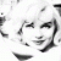 Куплю купить сушеный красный мухомор  для Audi S8